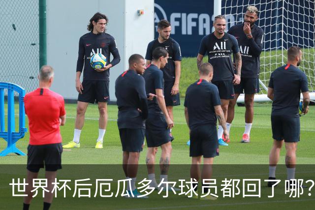 世界杯后厄瓜多尔球员都回了哪？输给墨西哥后他们各归其主